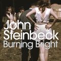 Cover Art for 9780141186061, Burning Bright by John Steinbeck