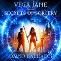 Cover Art for 9781867538332, Vega Jane and the Secrets of Sorcery: 1 by David Baldacci