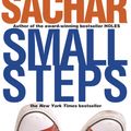 Cover Art for 9780385733151, Small Steps by Louis Sachar