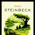 Cover Art for 9780140177398, Of Mice and Men by John Steinbeck