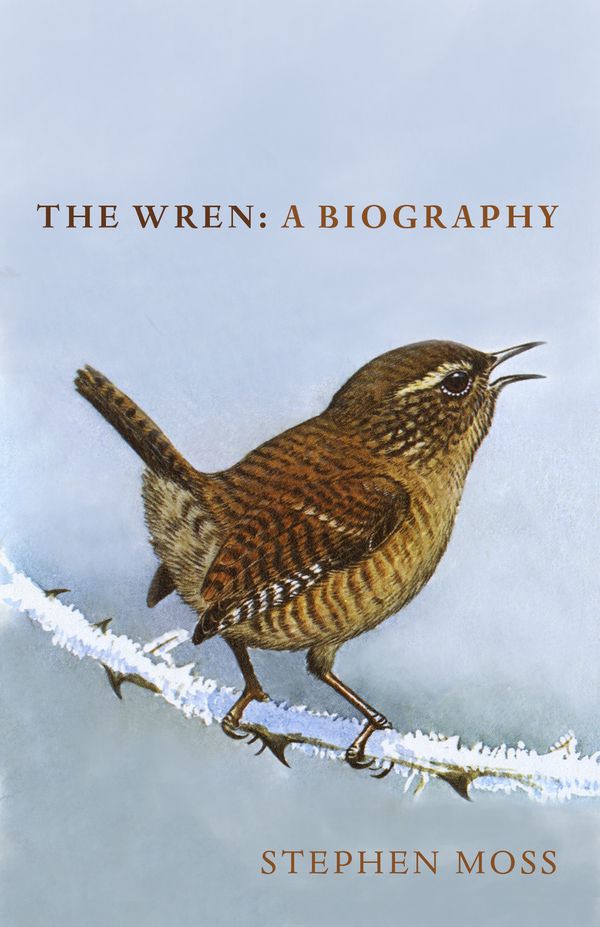Cover Art for 9781910931936, The Wren by Stephen Moss