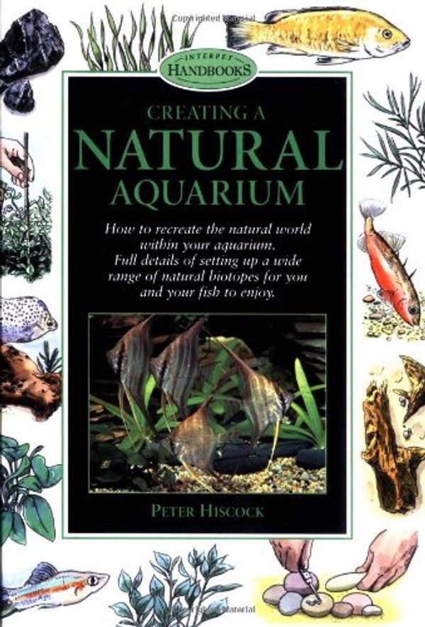 Cover Art for 0785555029415, Creating a Natural Aquarium by Peter Hiscock; Gina Sandford
