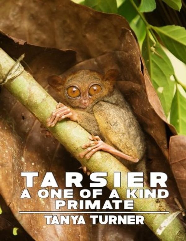 Cover Art for 9781537633213, TarsierA One of a Kind Primate: Do Your Kids Know This... by Tanya Turner