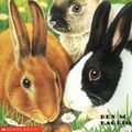 Cover Art for 9780439230247, Bunny Bonanza (Animal Ark Pets #16) by Ben M. Baglio