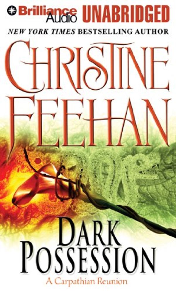 Cover Art for 9781469273518, Dark Possession by Christine Feehan