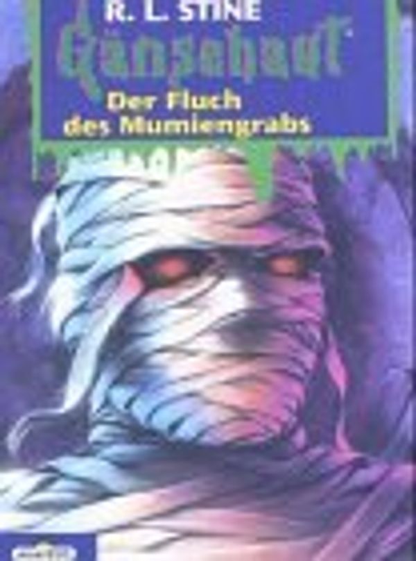 Cover Art for 9783570240168, Der Fluch des Mumiengrabs by Robert L. Stine