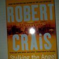 Cover Art for 9781407211336, Stalking The Angel by Robert Crais