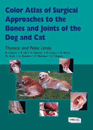 Cover Art for 9789505553532, Color Atlas of Surgical Approaches to the Bones and Joints of the Dog and Cat. Thoracic and Pelvic Limbs by R Latorre Reviriego