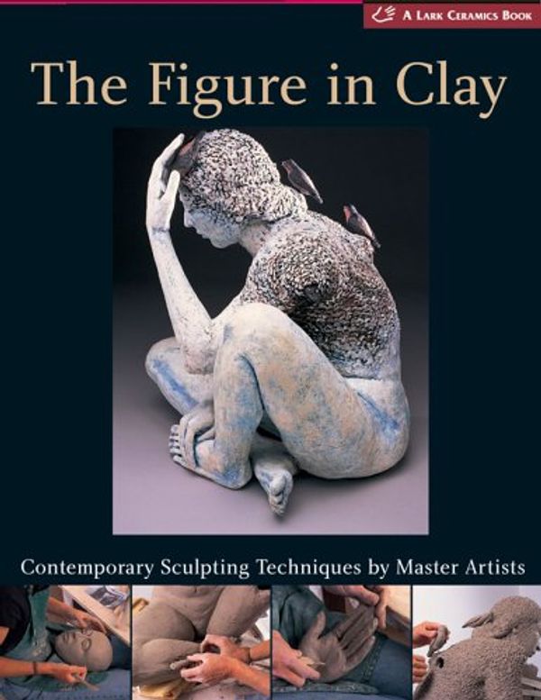 Cover Art for 9781579906115, The Figure in Clay by Suzanne Tourtillot