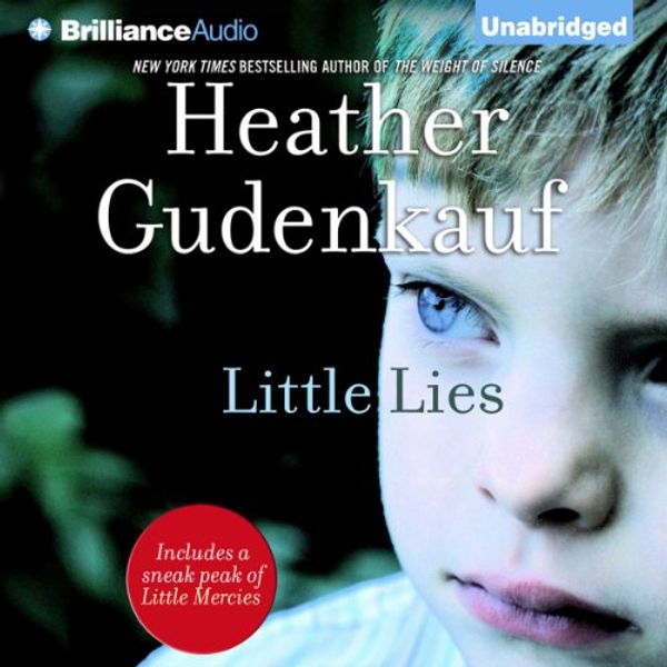 Cover Art for B00K30RE6U, Little Lies by Heather Gudenkauf