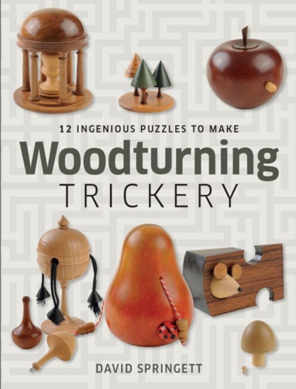 Cover Art for 9781861087386, Woodturning Trickery by David Springett