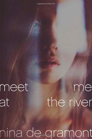 Cover Art for 9781416980148, Meet Me at the River by de Gramont, Nina