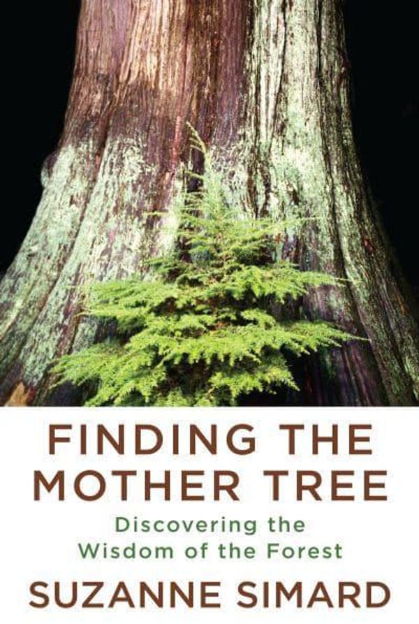 Cover Art for 9781524712013, Finding the Mother Tree by Suzanne Simard