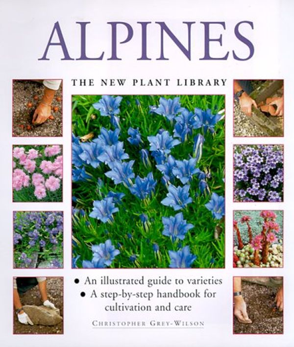 Cover Art for 9780754805045, Alpines by Christopher Grey-Wilson