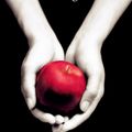 Cover Art for 9781904233657, Twilight: Twilight, Book 1 by Stephenie Meyer