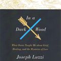 Cover Art for 9781504611534, In a Dark Wood: What Dante Taught Me about Grief, Healing, and the Mysteries of Love by Joseph Luzzi