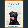 Cover Art for 9781524723323, The Grace of Dogs: A Boy, a Black Lab, and a Father's Search for the Canine Soul by Andrew Root