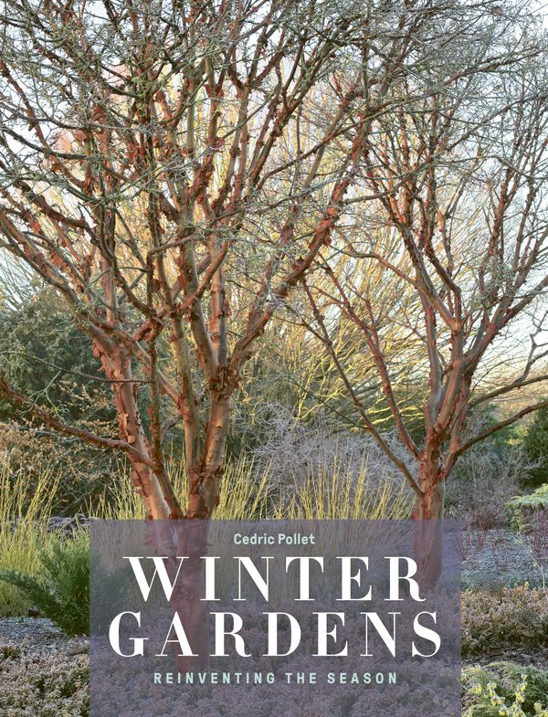 Cover Art for 9780711255982, Winter Gardens: Reinventing the Season by Cedric Pollet