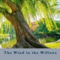 Cover Art for 9781537548401, The Wind in the Willows by Kenneth Grahame