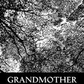 Cover Art for 9781490597423, Grandmother Elsie by Martha Finley