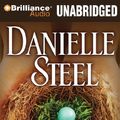 Cover Art for 9781423388500, Family Ties by Danielle Steel