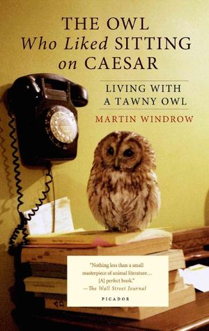 Cover Art for 9781250069344, The Owl Who Liked Sitting on Caesar: Living With a Tawny Owl by Martin Windrow