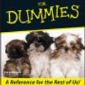 Cover Art for 9781118055052, Shih Tzu For Dummies by Eve Adamson