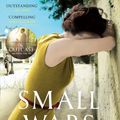 Cover Art for 9781409079255, Small Wars by Sadie Jones