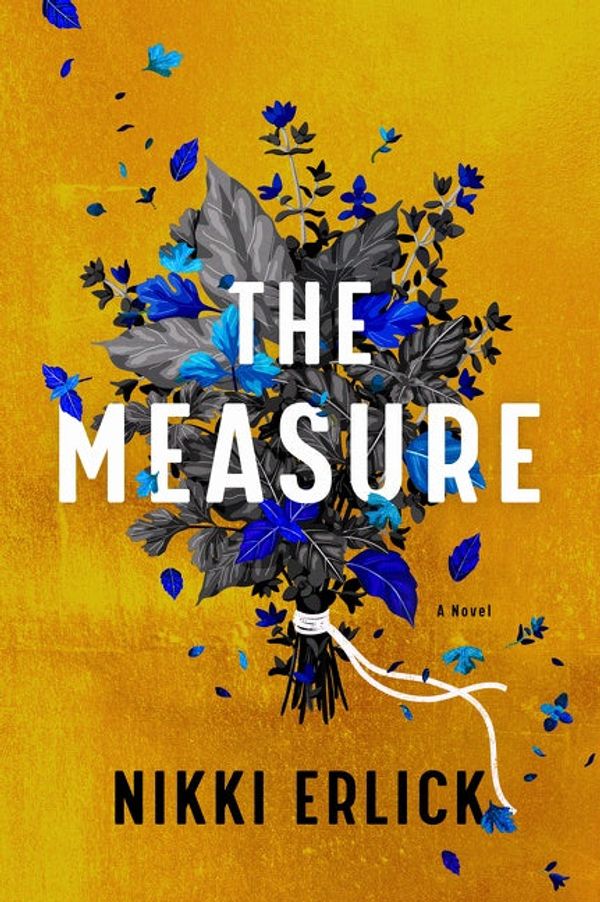 Cover Art for 9780063204225, The Measure by Nikki Erlick