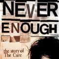 Cover Art for 9781846093401, Never Enough by Jeff Apter