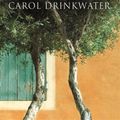 Cover Art for 9780297854371, The Olive Tree by Carol Drinkwater
