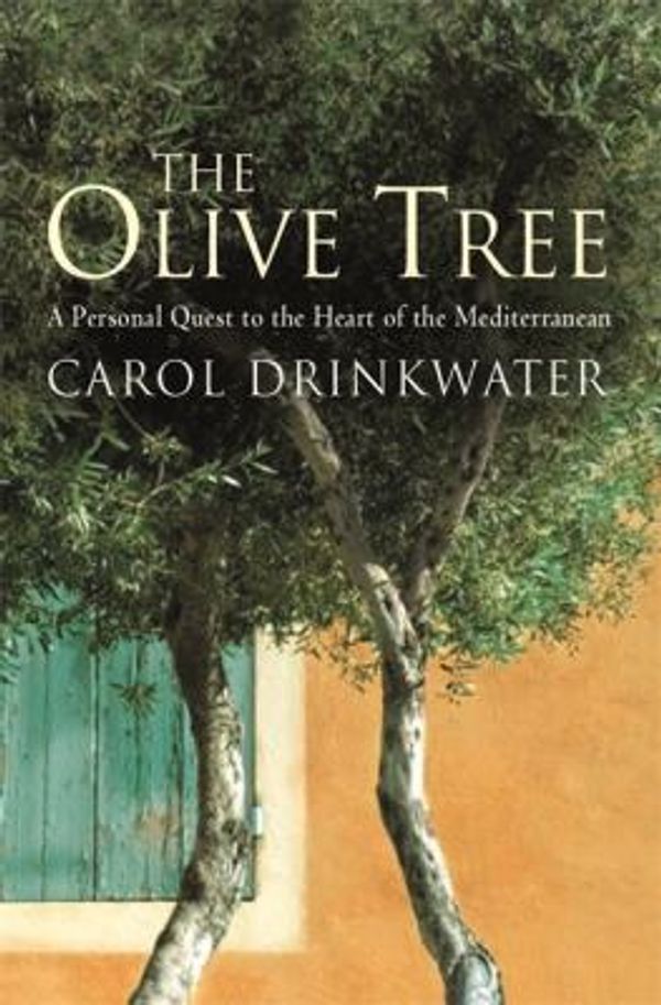Cover Art for 9780297854371, The Olive Tree by Carol Drinkwater