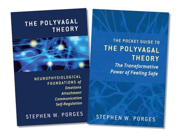 Cover Art for 9780393713077, The Polyvagal Theory / the Pocket Guide to the Polyvagal Theory by Stephen W. Porges