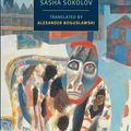 Cover Art for 9781590178461, A School for Fools by Sasha Sokolov