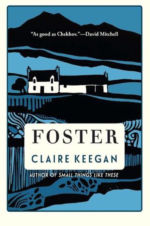 Cover Art for 9780802160140, Foster by Claire Keegan