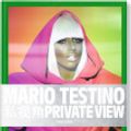 Cover Art for 9789000044078, Mario Testino by Mario Testino