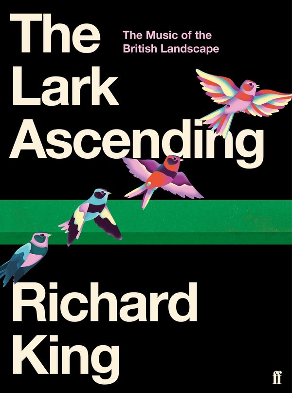 Cover Art for 9780571338795, The Lark Ascending by Richard King