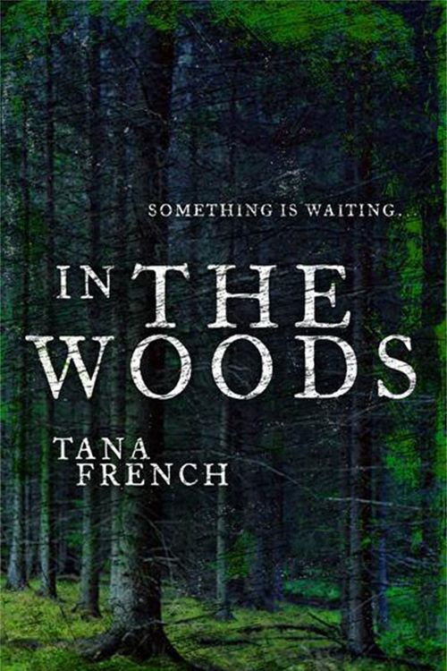 Cover Art for 9780340937952, In the Woods by Tana French