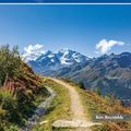 Cover Art for 9781786311382, Trekking Chamonix to Zermatt: The Classic Walker's Haute Route by Reynolds, Kev