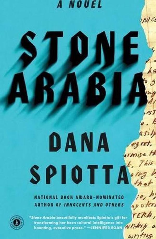 Cover Art for 9781451617979, Stone Arabia by Dana Spiotta