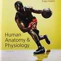 Cover Art for 9780133999310, Study Guide for Human Anatomy & Physiology by Elaine Marieb, Katja Hoehn