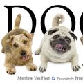 Cover Art for 9781416941378, Dog by Matthew Van Fleet
