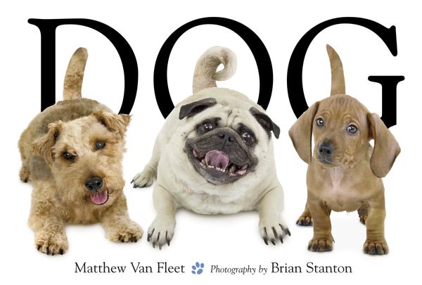 Cover Art for 9781416941378, Dog by Matthew Van Fleet