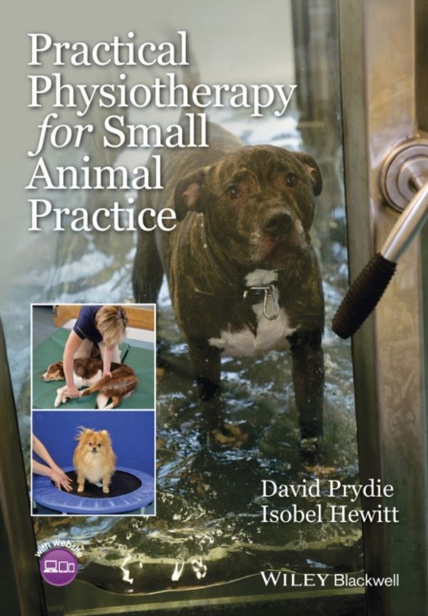 Cover Art for 9781118661543, Practical Physiotherapy for Small Animal Practice by David Prydie