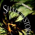 Cover Art for 9780786943043, Shadowstorm by Paul S. Kemp