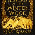 Cover Art for 9780316483254, The Sisters of the Winter Wood by Rena Rossner