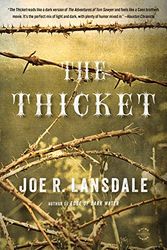 Cover Art for 9780316188449, The Thicket by Joe R. Lansdale