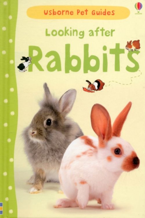 Cover Art for 9781409532439, Looking After Rabbits by Fiona Patchett