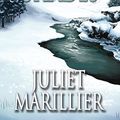 Cover Art for 9781405041096, The Well of Shades by Juliet Marillier