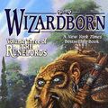 Cover Art for 9780812570700, Wizardborn by David Farland